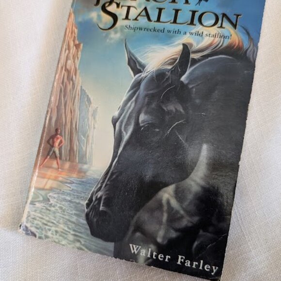 The Black Stallion, The Island Stallion, Learn to Draw Horses and Ponies - Picture 4 of 10